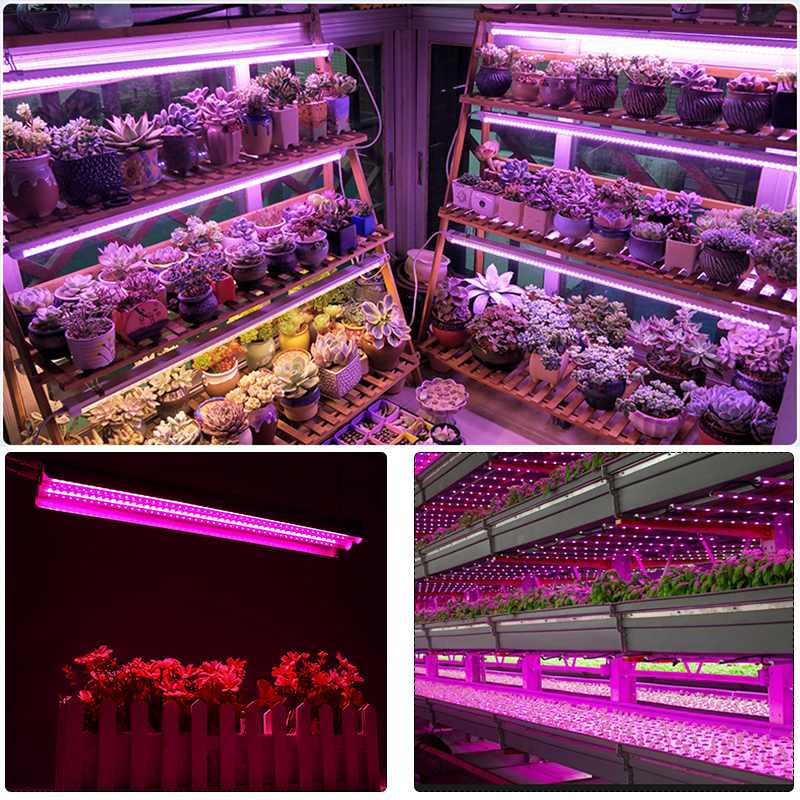 Led vokse lys 200w fullspektrum voksende led lampe belysning 50cm dobbelt rør plante lysekrone for hydroponic innendørs planter