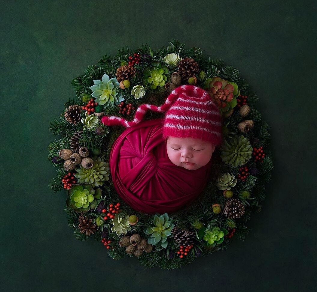 Foto rekvisitter tørrede blomster retro pinecone ornamenter placeret ornamenter jul udgør baggrund klud dekoreret mad fotografering