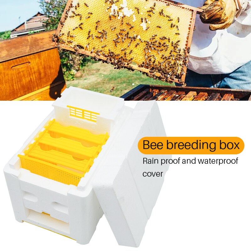 1 Set Beekeeping King BeeHive Tools Foam Beehives Nuc Harvest Pollination Box Beekeeper Bee Rearing Mating Hive Box Apiculture
