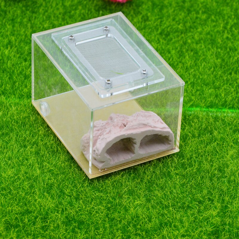 Imitation Ecological Ant Farm DIY Plaster Rockery Pet Ant Castle Landscaping Workshop Home Ants Farm House: SF-A007