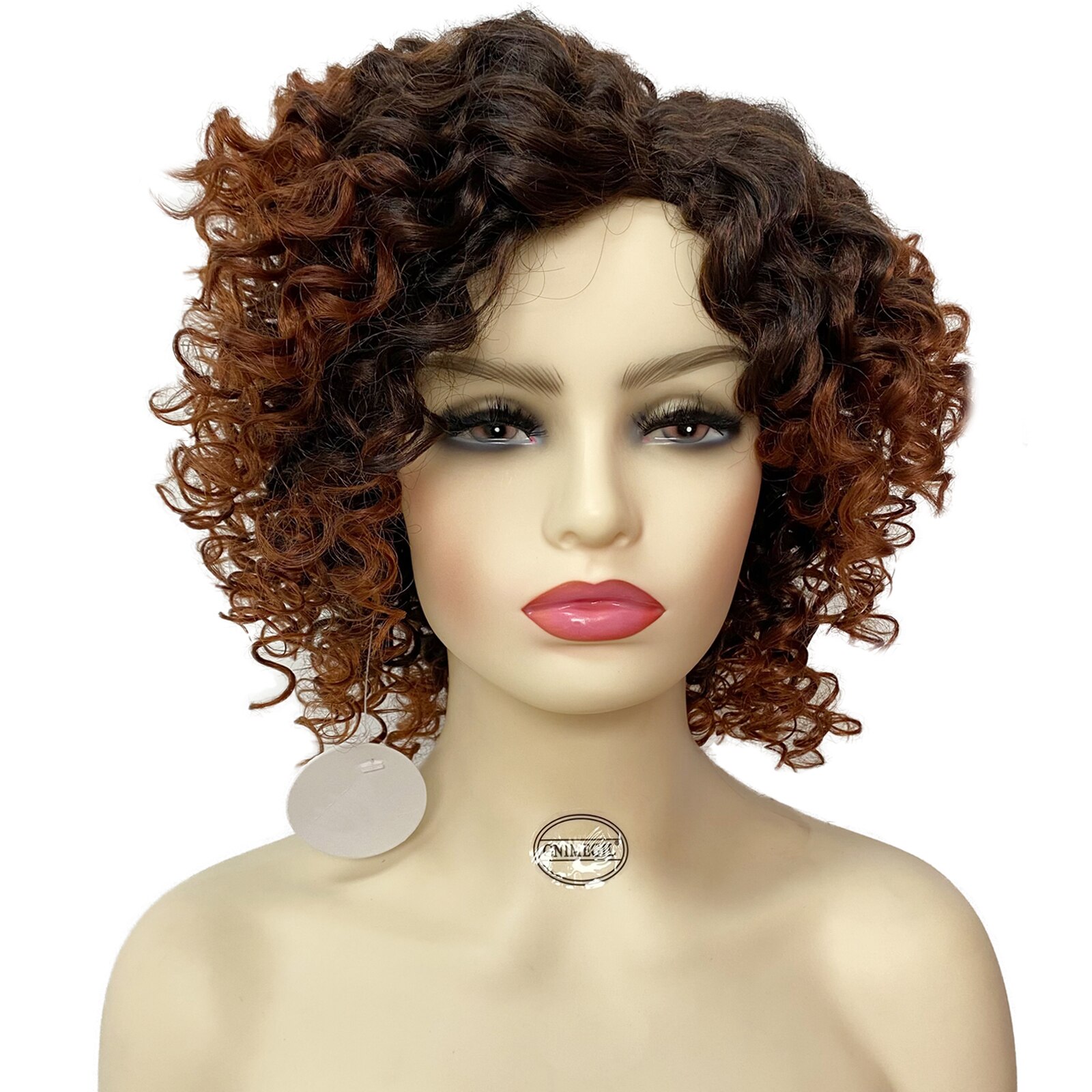GNIMEGIL African American Wigs Female Synthetic Short Afro Kinky Curly Wigs for Black Women Natural Hair Ombre Dark Brown Roots: Ombre Brown