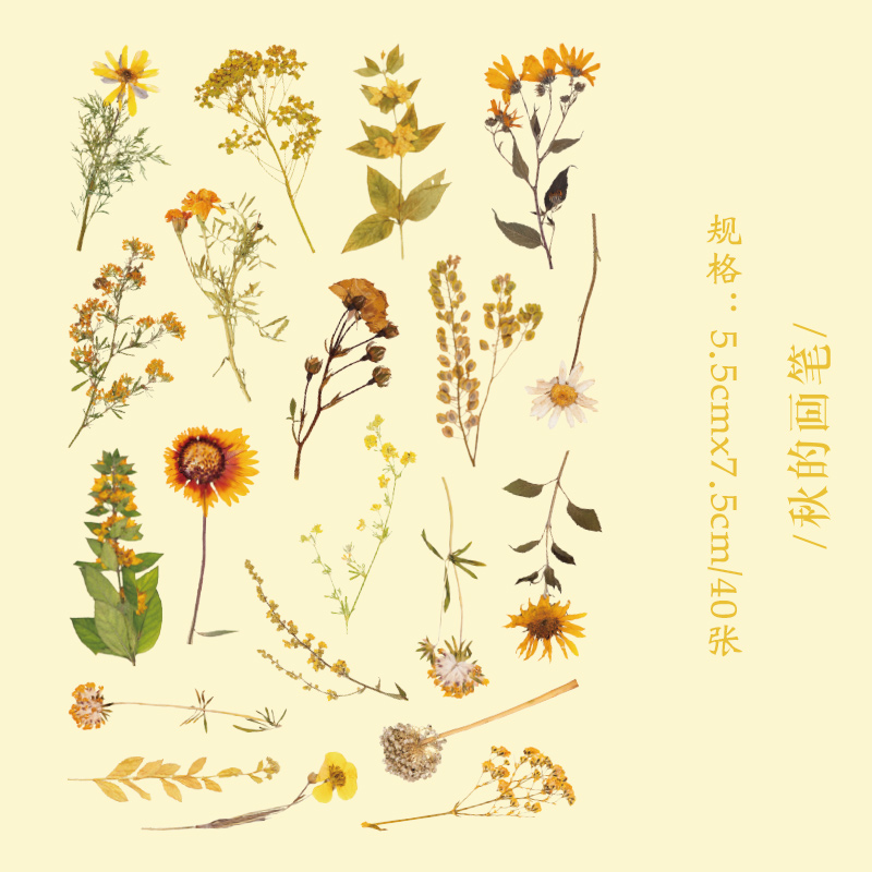 40 Uds colección de plantas hoja verde pegatinas decorativas para mascotas etiqueta para álbum de recortes diario papelería álbum teléfono taza diario planificador: Caqui oscuro