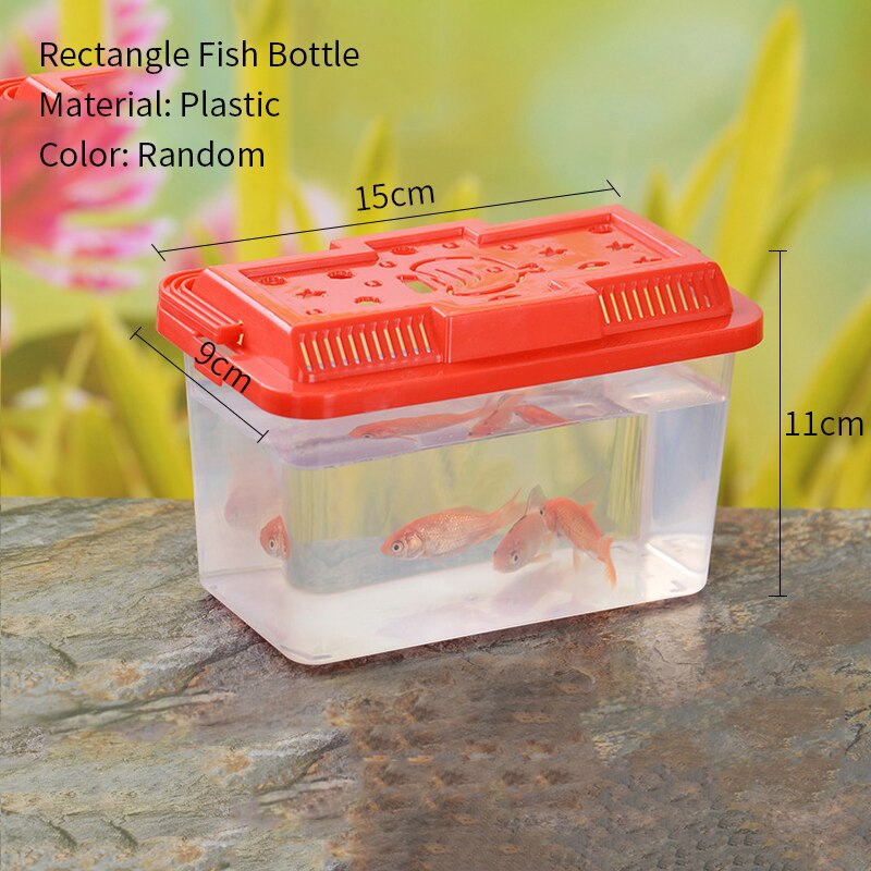 Aquarium Portable 1 pièce, boîte d&#39;élevage de poissons, Mini tortue de poisson rouge, réservoir de petits reptiles, fournitures d&#39;accessoires pour animaux de compagnie: 2