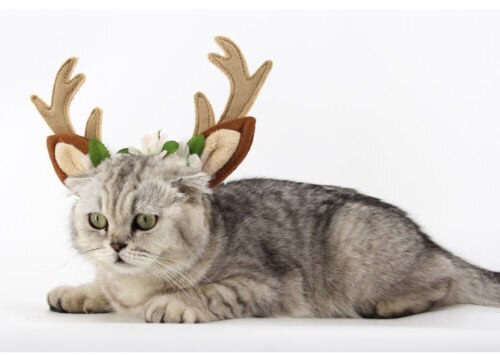 Diademas de Navidad para mascotas, asta de ciervo, banda Floral para la cabeza, accesorios de aseo para perros, gatos y cachorros