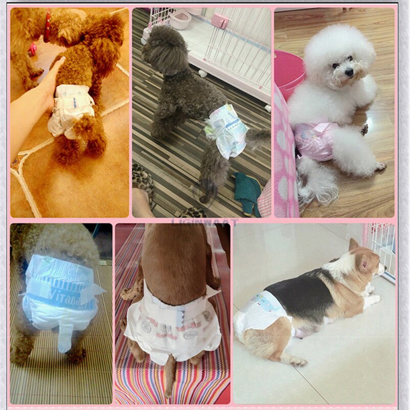 Hond Luiers Mannelijke Hond Zachte Wegwerp Hond Luiers Vrouwelijke Hond Super Absorptie Lekvrij Fysiologische Broek