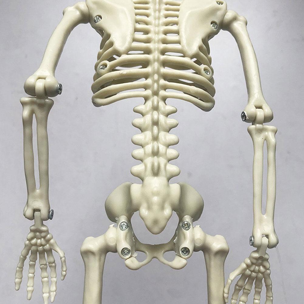 Halloween Skelet Decoratie Hangende Pop Grijs 60cm