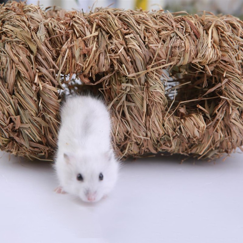 Paille armure Hamster Rat maison Cage petit Animal caché jeu aire de jeux Chinchilla cochons d'inde petit Animal jouet fournitures