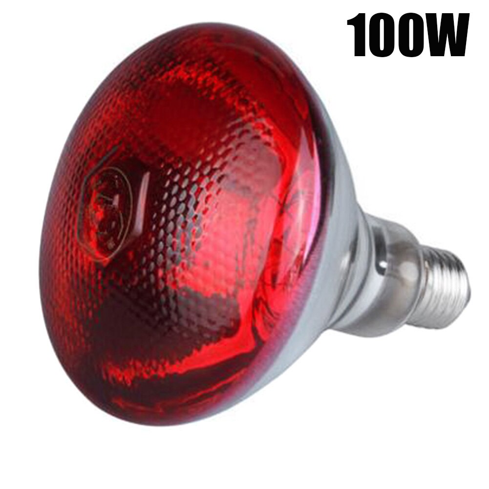 Lámpara de calor infrarroja para aves de corral, 100W, 150W, 200W, 245 V, polluelos resistentes al agua para incubar cachorros, Bombilla de lechón para pollo: 100w
