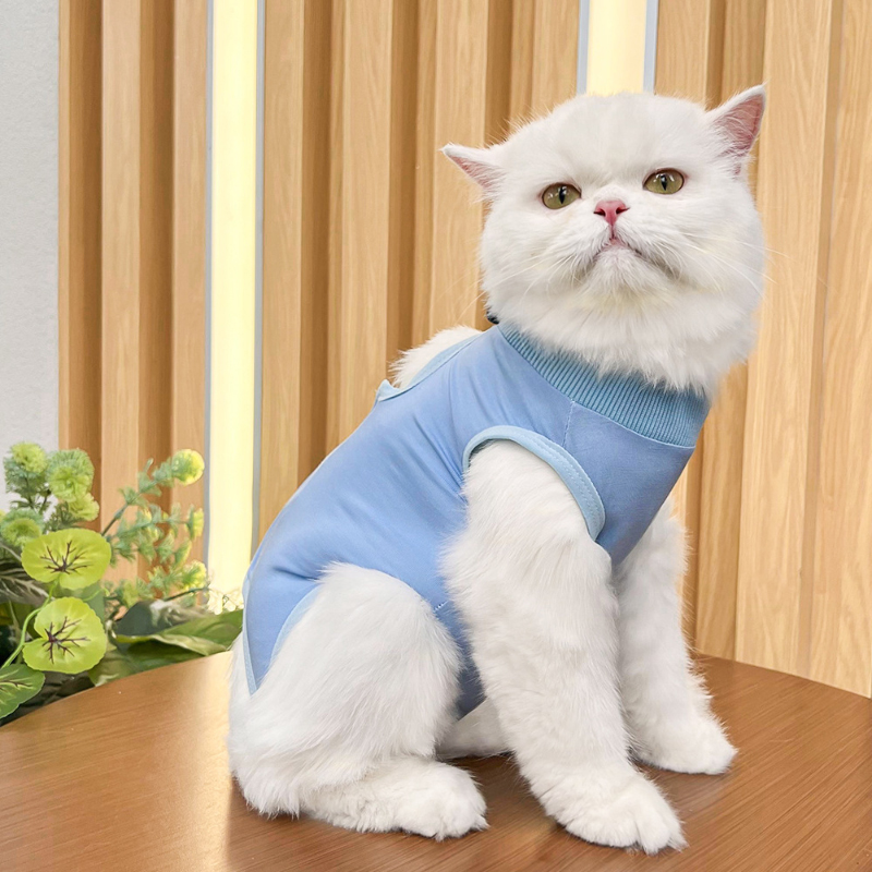 Gatos cirurgia recuperação terno para pequeno médio cão gato colete camisa para animais de estimação pijama macio após cirurgia usar roupas de recuperação anti lambendo: L / Azul