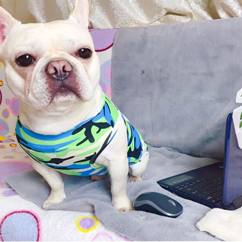 Bomull fransk bulldog sommar cool kamouflageväst för mops kostym husdjur hundkläder för små hundar husdjur kläder yorkshire tshirt