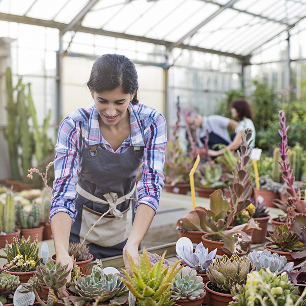 6 PCS Mini Garden Planter Kit DIY Hand Tools Set Succulent Plant Planting Kit Miniature Garden Plants Bucket Shovel Tools