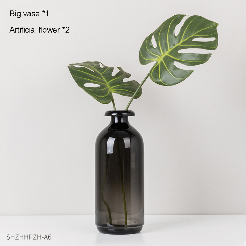 Nordisk glass vase svarte blomstervaser boligdekorasjon tilbehør stue dekor vase dekorasjon husholdning gjennomsiktige vaser: Kombinasjon e