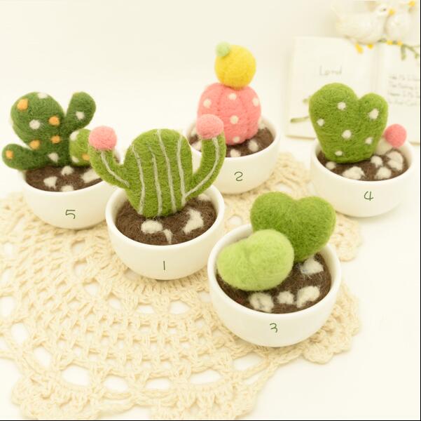 Cactus vlezige plant mini-pot wolvilt wollen borduurset wolvilt naaldvilten decoratie knutselen handwerk diy