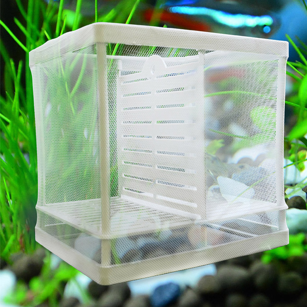 Isolation Mesh Box Suction Cup Fish Breeding Incubator Net Aquarium Hanging Hatchery Box