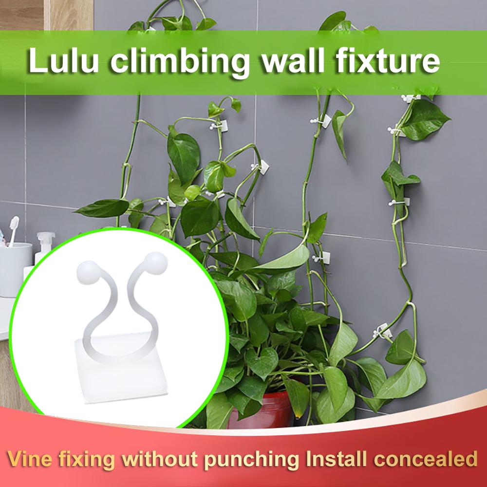10PCS Plant Climbing Wall Clip Invisible Wall Vines Fixture Wall Sticky Hook Holder Plant Supports Balcony Garden Decoration L1