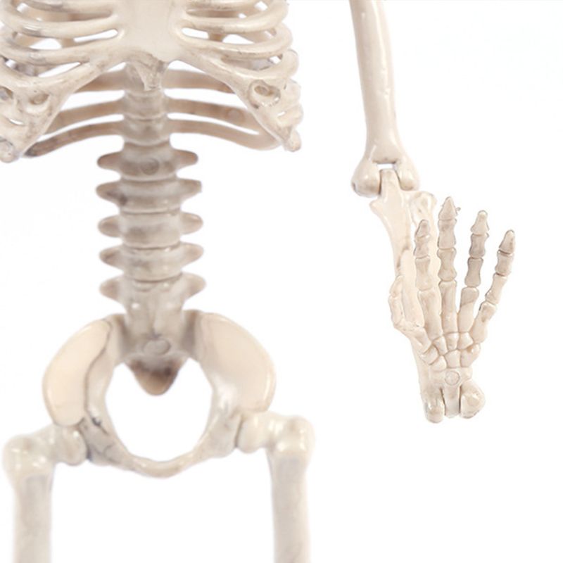 Full Body Opknoping Volwassen Menselijk Skelet Halloween Props Wetenschappelijke Botten Modellen Realistische Beweegbare Schedel Party Building Decor Q6PD
