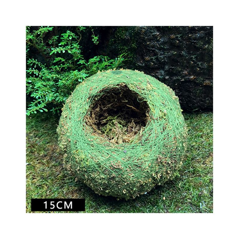 Moss Ball Pot Bird Nest Flower Plant Home Office Desk Table Garden DIY Decoration