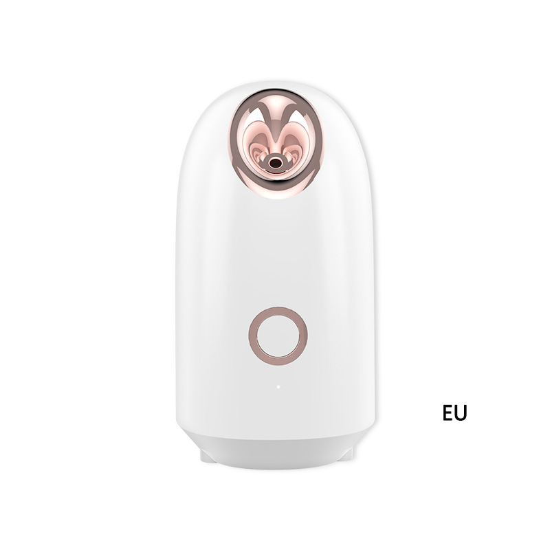 Profession elle nano ionische warme Nebel Home Face Sauna tragbare Luftbe feuchter Maschine tief sauber straffen die Haut täglich Feuchtigkeit: Licht Grau