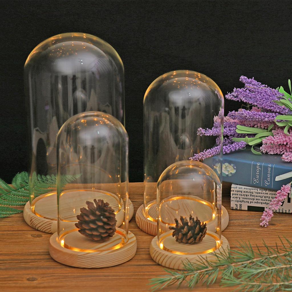 Glass Display Dome + LED Wooden Base, Decorative Clear Glass Cloche Bell Jars Display Dome for Decor
