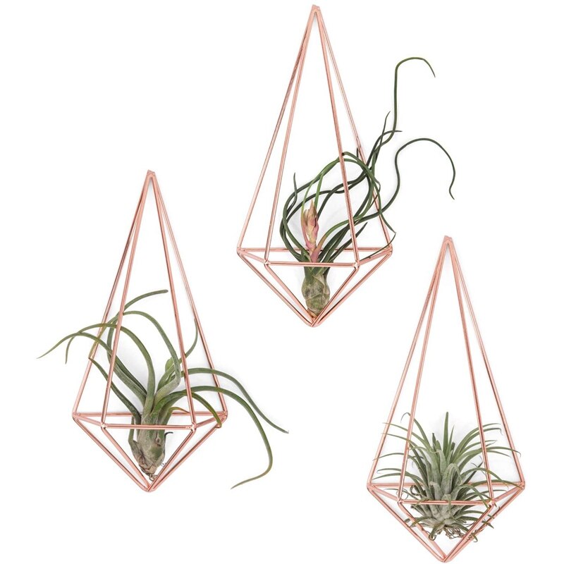 3 stk vægmonteret luftplanteholder moderne geometrisk planter hængende tillandisia container himmeli boligindretning