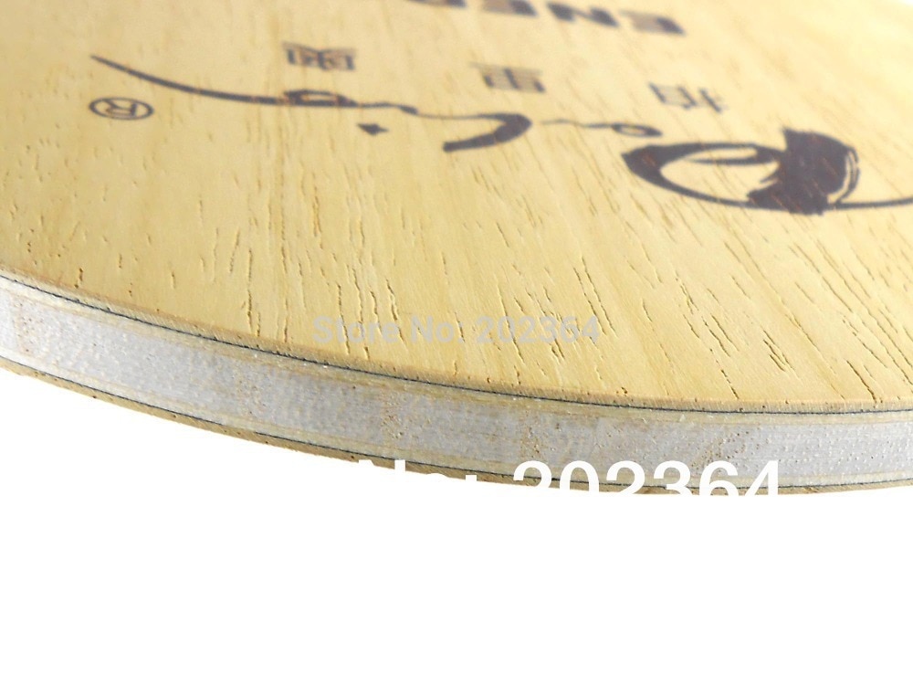 Palio ENERGY04 ENERGY 04 ENERGY 04 ENERGY-04 hoja de tenis de mesa de madera + 2 fibras, para raqueta de ping pong