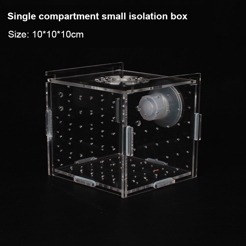 Caja transparente para acuario, bandeja pequeña para pecera, caja de producción, aislamiento de rejilla múltiple simple y doble: s