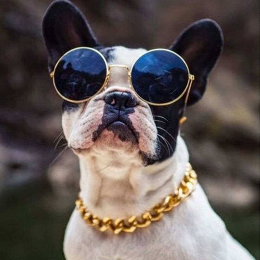 Huisdier Mode Ketting Ketting Hond Halsband Franse Vechten Kleine Middelgrote Hond Gouden Kraag Kat Hond Gouden Ketting Huisdier Sieraden Accessoires