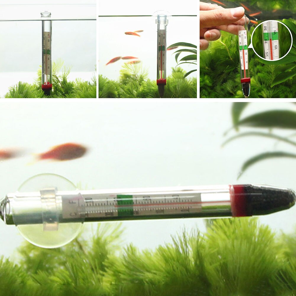 Fish Tank Water Temperature Gauge Aquarium Suction Cup Glass Thermometer