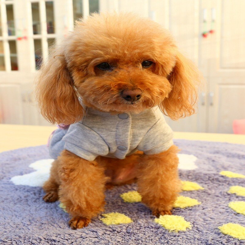 Winterkleding voor huisdieren, honden, katten, jassen met strik, puppykleding, teddybeer, poedelkleding, jurk