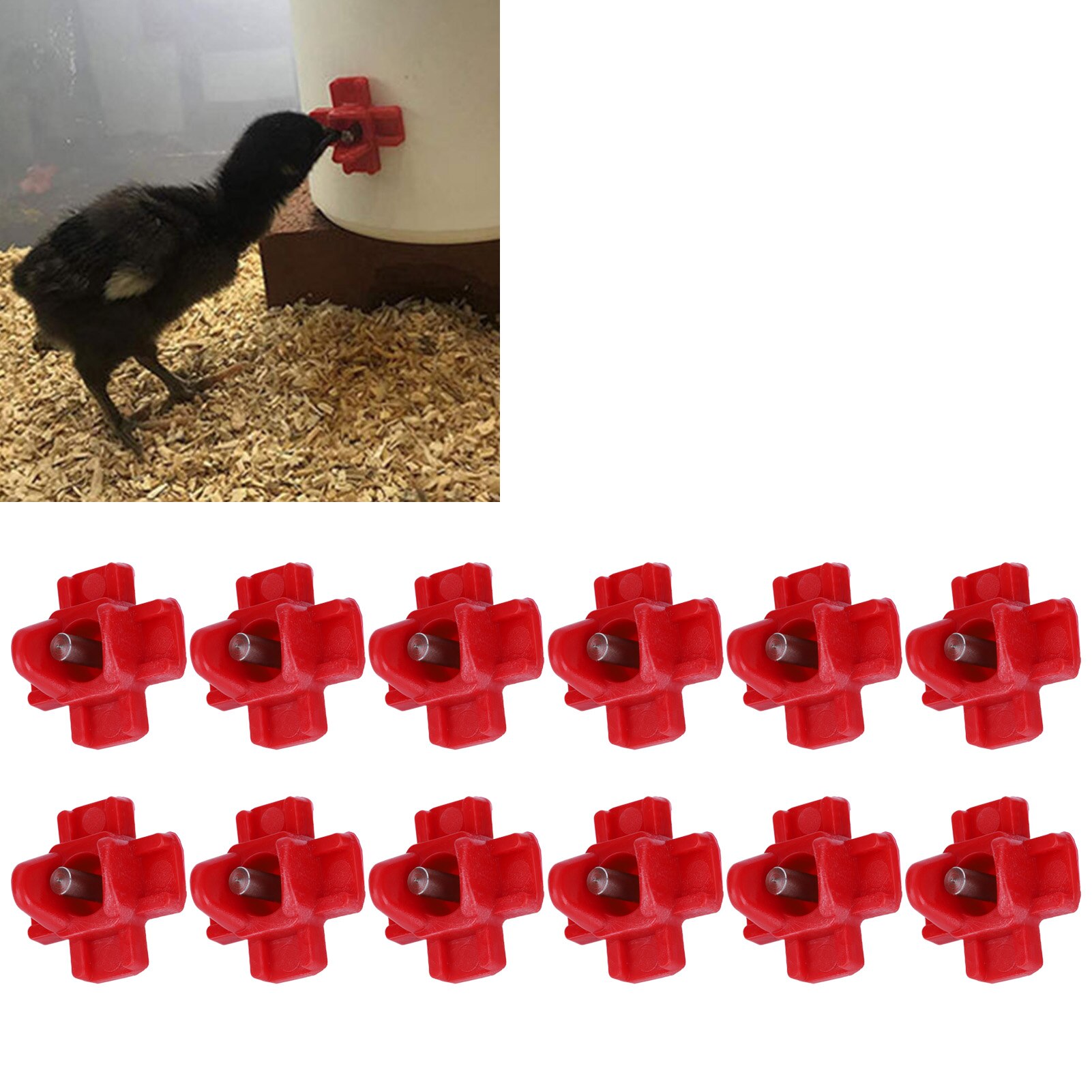 Bebedero para pollos, bebedero automático para aves de codorniz, 12 Uds.
