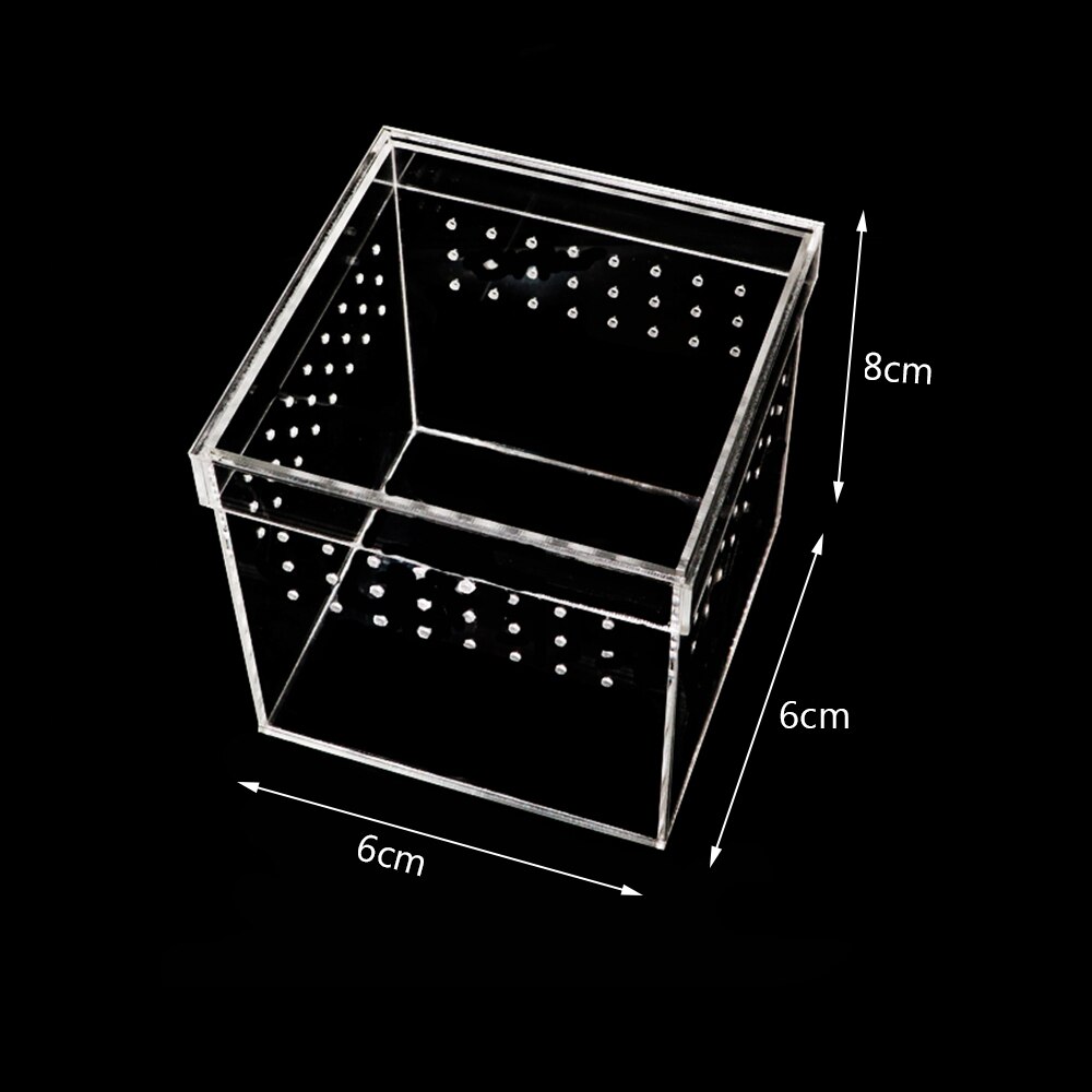 Reptiles en plastique vivant boîte Transparent Reptile Terrarium Habitat pour Scorpion araignée fourmis lézard élevage boîtier d'alimentation