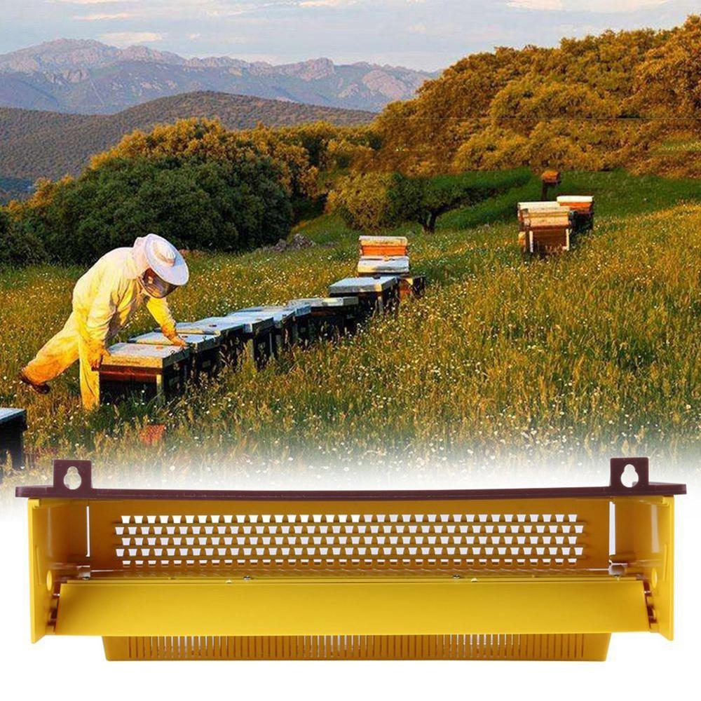 plástico trampa polen abeja colector de apicultura cuidado de abejas herramientas colmena de la abeja de la entrada equipos herramienta de jardín en casa