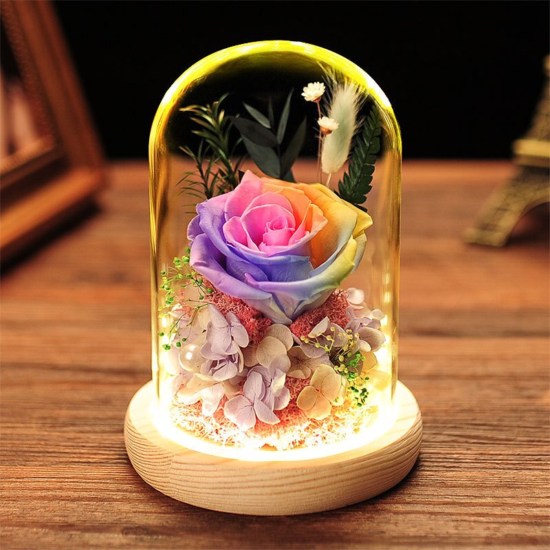 Moeder Dag Aanwezig Kunstmatige Eeuwige Bloem Thuis Bruiloft Decor Met Led Valentijnsdag Kerstmis Nieuwjaar Eeuwige Rose In Glas: HGA002113-Colorfu