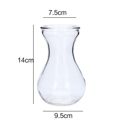 Hydroponiska växter vas enkel glasvas hem dekorativa bord transparent blomvas: B