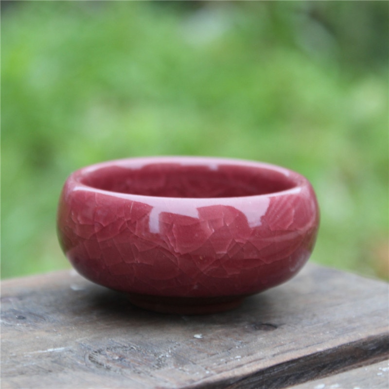 Minimacetas decorativas de cerámica para jardín, macetas para plantas, plantas, decoración de escritorio, Maceteros