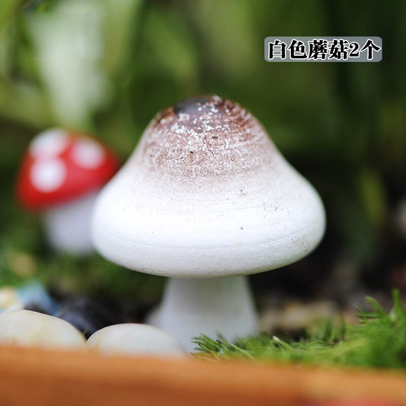 6 stücke Mini Mehrfarbig holz Pilz Modelle Nette Miniaturen Pilz Hause sehr klein Garten tisch Dekoration Mikro Landschaft Miniascape: weiß