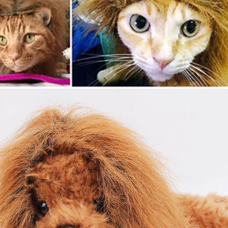 Peluca de Melena De León para perro, ropa de Cosplay con cola para perros, gato, decoración para , peluca, sombrero, disfraz, juguete, accesorios para mascotas