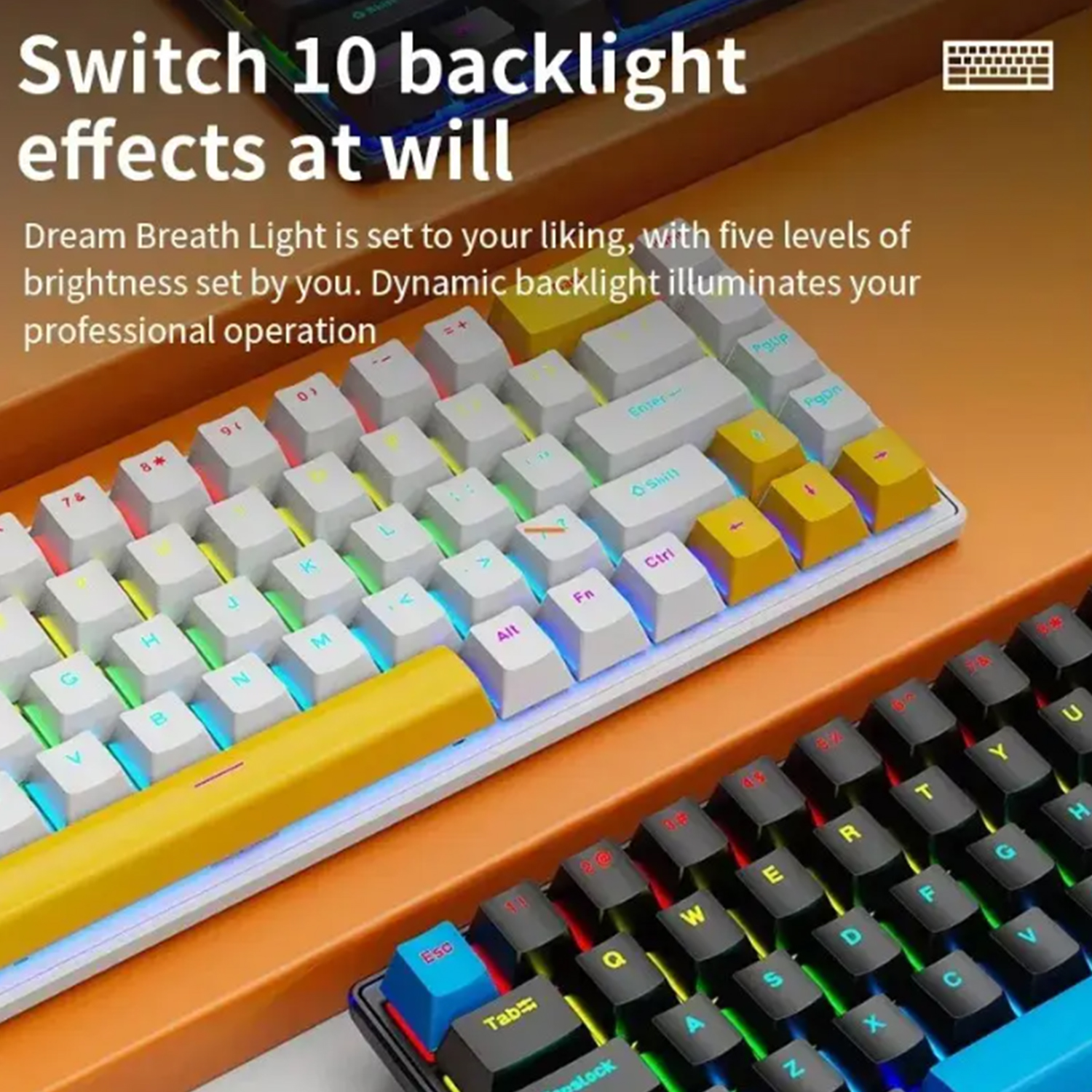 68 Keys Mechanical Keyboard RGB Backlight Wired Gaming Keyboard Ergonomic Swappable Keyboard for Win/Mac/PC Office Computer