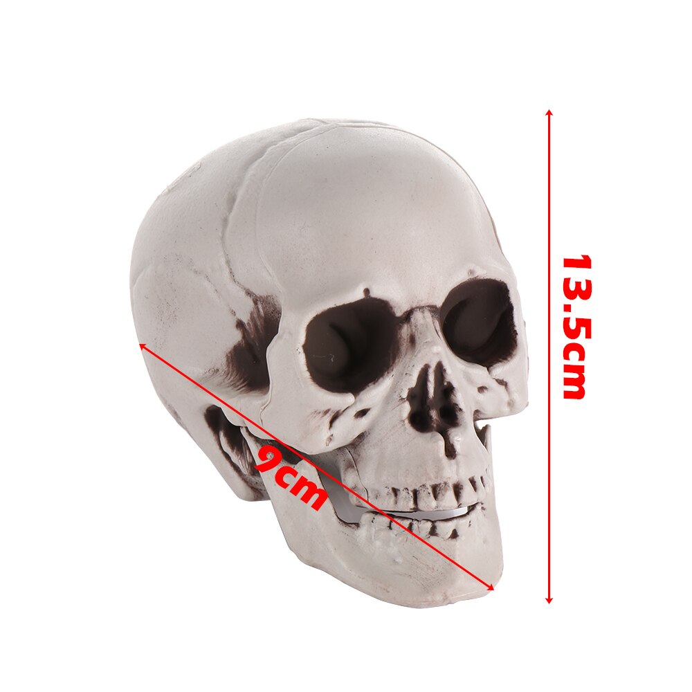 Halloween Props All Size Skeleton Head Skeleton Halloween Style Photo Prop Home Party Decor Game Supplies: 9x10x13.5cm