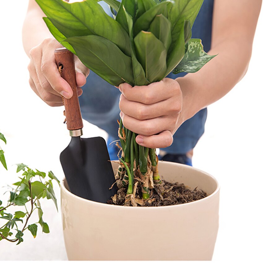 Trähandtag liten spade balkong plantering blommor ogräsrensning trädgårdsredskap hushåll köttiga krukor lös jord järn utgrävning spade