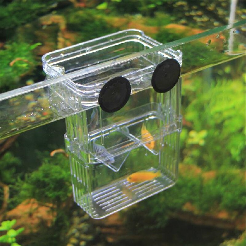 Incubadora Para Peces - Caja De Cría Transparente Con Ventosa, Para Acuarios (12.5x7x7 Cm)