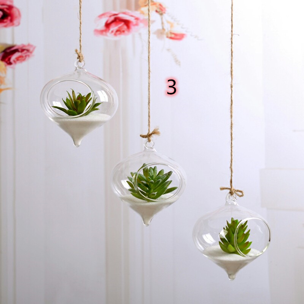 Hjem hage klart glass blomst hengende plante vase planter terrarium container: 3