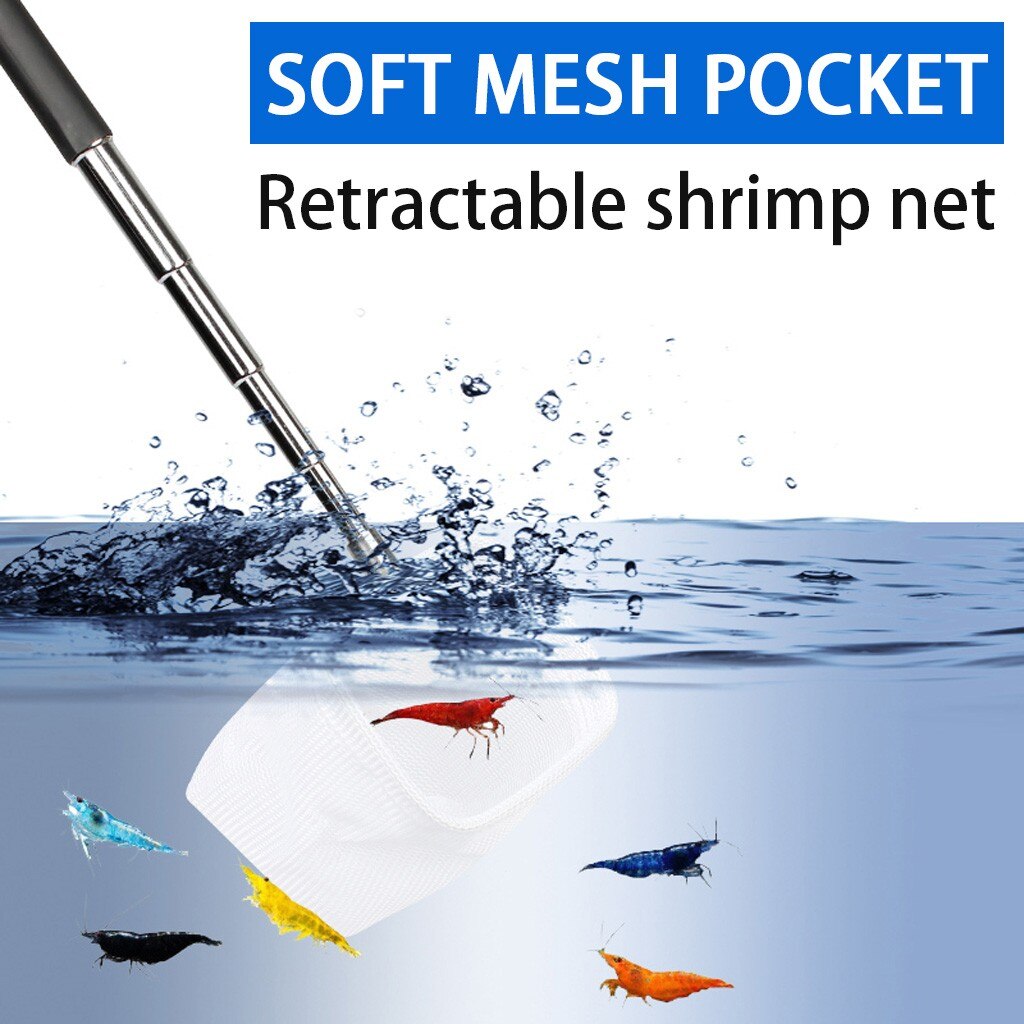 Top Selling Fish Shrimp Skimming Net Fine Mesh Extendable Stainless Steel Handle Fishing Net Support And