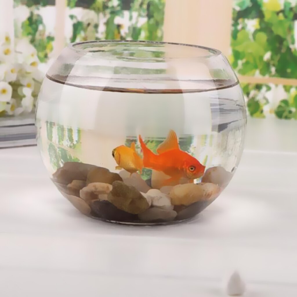 Cuenco de cristal transparente redondo para decoración del hogar, centro de mesa, juego de Carnaval
