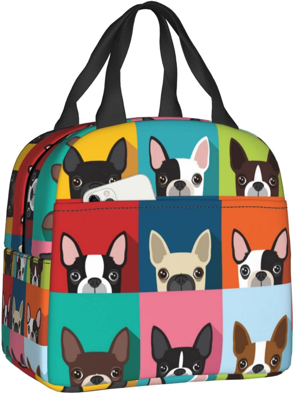 Lunch Bag Cute Pug Dog Lunch Box Insulated Bag Tote Bag For Men/Women Work Travel: Brown