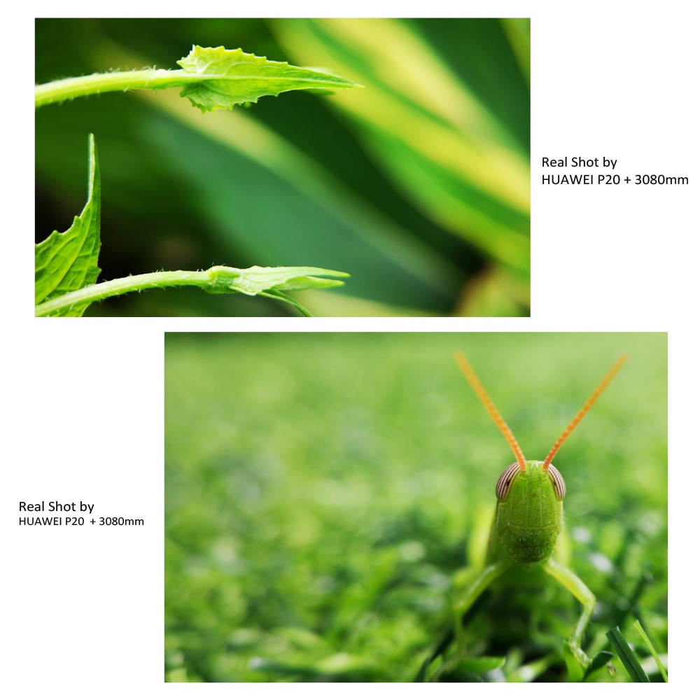 APEXEL óptica HD Cámara lente del teléfono 30-80Mm lente Macro Super lentes Macro para IPhone 7 8 Xs Max Huawei Xiaomi todos los teléfonos inteligentes