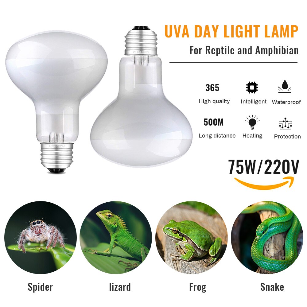 Lampe chauffante pour animaux de compagnie UVA jour nuit amphibie amphibien serpent lampe chaleur Reptile ampoule lumière 25W 50W 100W AC220-240V: G226090A