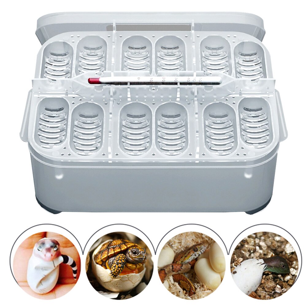 Large Capacity Eggs Incubator Turtles Birds Reptile Breeding Box Easy Use Reusable PP Lizard Home With Thermometer