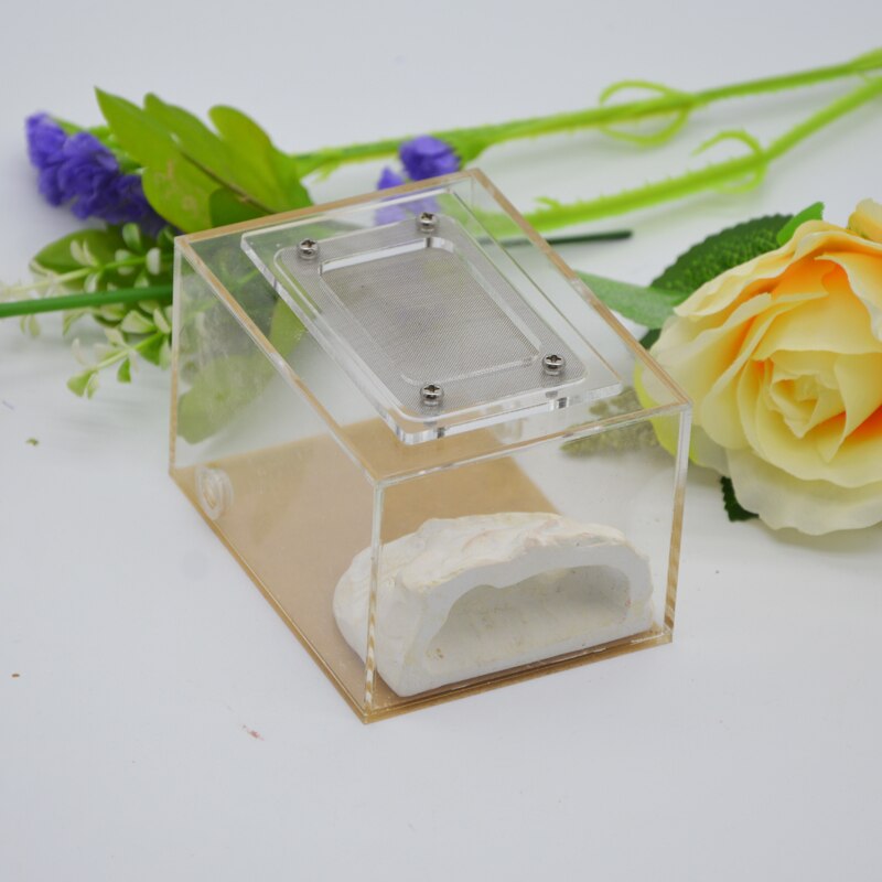 Imitation Ecological Ant Farm DIY Plaster Rockery Pet Ant Castle Landscaping Workshop Home Ants Farm House: SF-A004