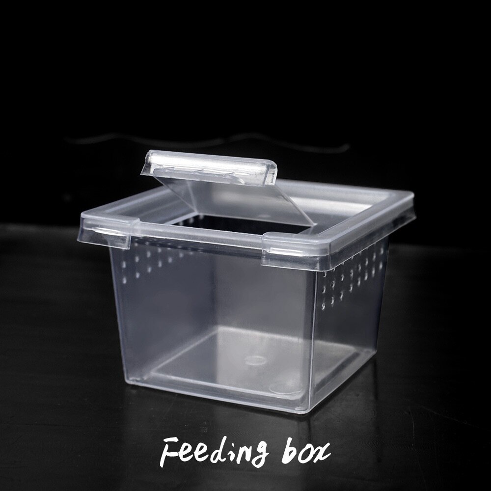 100Pcs Reptile Cage Breeding Habitat Lizard Snake Amphibian Frog Spider Box Transparent Insect Breathable Terrarium